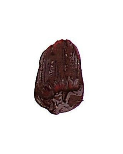 Tri-Art Liquid Acrylic Paint : Permanent Maroon