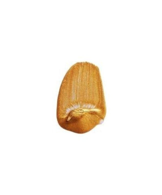 Tri-Art Liquid Acrylic Paint : Iridescent Gold Deep
